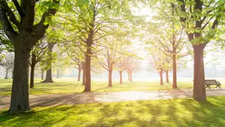 From scorching sun to rain: what the weather will be like in Kazakhstan on July 16
