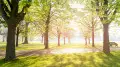 From scorching sun to rain: what the weather will be like in Kazakhstan on July 16