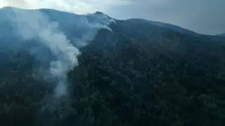 19 forest fires extinguished in Kazakhstan in one day