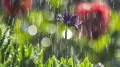 Heat returns after rains: what to expect in Astana and Almaty in the next three days