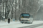 Жолда қалып қойған өзбекстандық 55 адам құтқарылды