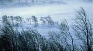 Ақмола облысында зейнеткер әйел үсіп өлді