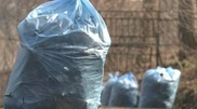 Астанадағы сенбілікте бес мың тоннадан астам қоқыс шығарылды
