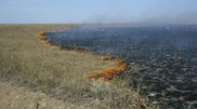 Павлодар облысында 800 гектар алқап өртке оранды