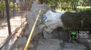 Шымкентте дауылдың кесірінен төтенше жағдай жарияланды