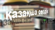 Қылмыстық кодекс жобасының қазақшасы ұғынықты болады - Меркель