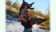 Қодықты қорлаған жігіт Алматы облысында ұсталды
