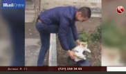 Ұлыбританиялық БАҚ мысықпен аяқ киімін сүрткен қазақстандыққа наразы болды