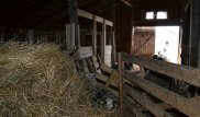 Маңғыстау облысының тұрғыны ауласынан өлім аузында жатқан ер адамды тауып алды