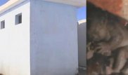 Дәретханадағы сәбиді шығарып алу сәті түсірілген эксклюзив кадрлар