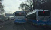 Алматыда автобус жүргізушілерінің кезекті жол ережесін бұзуын куәгерлер суретке түсіріп алды
