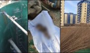 Шымкентте кәріз құбырынан нәресте денесі табылды