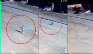 Павлодарда 6 жасар баланың балабақшадан қашқан сәті видеоға түсіп қалды
