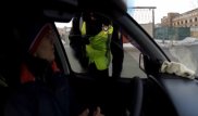 Петропавлда полицей жүргізушіден итке белбеу тағуды талап етті