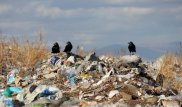 Рудныйда қоқыстан жаңа туған сәбидің денесі табылды