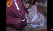 Ақтөбеде әжетханаға тасталған сәбиді құтқару сәтінің видеосы пайда болды