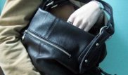 Павлодарда Роза Рымбаеваның толықтай аттасы ұялы телефон ұрлаған
