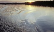 Көкшетауда жоғалған жігіттің денесі өзеннен бөлшектелген күйі табылды