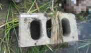 СҚО-да жоғалып кеткен әйел өзеннен аяғына тас байланған күйі табылды