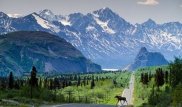 70 жастағы америкалық кейуана қайтыс болған күйеуімен саяхаттап жүр
