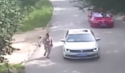 Жолбарыстың бір қызды талап өлтіргені видеоға түсіп қалды