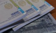 Оңтүстік Қазақстанда бір шенеунік пара алғанын мойындады