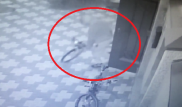 Павлодарда жарты миллион теңге тұратын велосипедтерді ұрлаған адам іздестіріліп жатыр