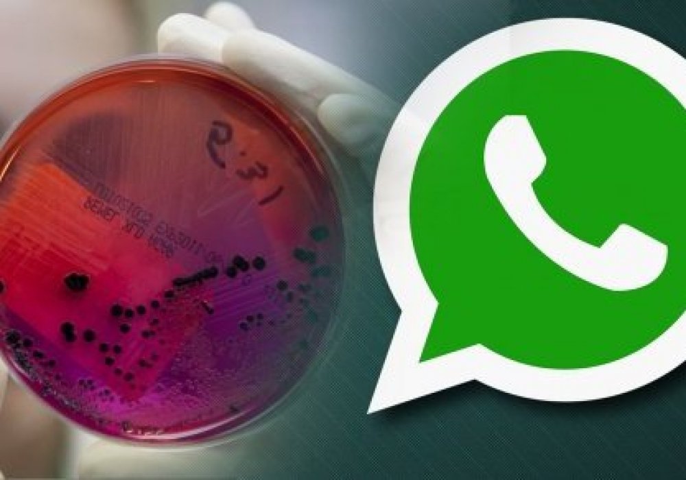 Сүтте сібір жарасы бар деп қауесет таратқан әйел өз әрекетін түсіндірді