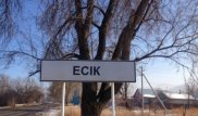 Есік қаласының маңында 56 жастағы әйел соққыға жығылып, зорланған