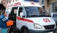 Қостанайда мысықты құтқарғысы келген алты жасар баланы көлік басып кетті