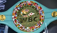 Головкинмен WBC титулына таласатын қарсылас желтоқсанда белгілі болады