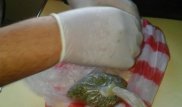 Қазақстан шекарасында пойыз дәретханасынан есірткі табылды: Жолсерік ұсталды