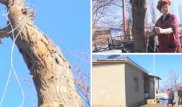 Жамбыл облысында інісінің баласын зорлап өлтірген азғын сотталды