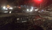 Үкіметте Жамбыл облысындағы дауылдың салдары талқыланды