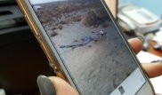 Маңғыстаулық полицейлер далада жатқан адам қаңқасының суретін таратпауды сұрады