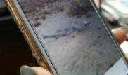 Әлеуметтік желілерде таралған суреттегі адам қаңқасы жоғалып кеткен аңшыға тиесілі болып шықты - ІІД