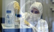 Тұмау вирустары бауыр обырын емдейтін болып шықты