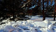 Алдағы күндері жылы ауа райы күтіледі