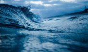 Ғалымдар Жердегі тіршіліктің неден жойылатынын айтты