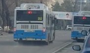 Алматыда автобус жол кептелісін қарсы жолмен айналып өтті