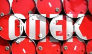 Бозымбаев ОПЕК-тің шешіміне қатысты пікірін білдірді