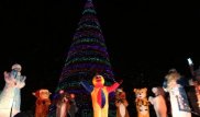 Қазақстанның қалаларында шырша шамы жағылды