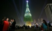 Әлемдегі ең биік шырша орнатылды