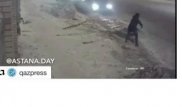 Астанада қар тазалап жүрген адамды қағып кеткен жүргізуші анықталды