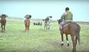 Желіде Жамбыл облысында болған төтенше жағдайдан қаза тапқан әскери бөлімнің видеосы пайда болды