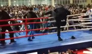 АҚШ-та бокс жанкүйерлері шаршы алаңда төбелесті
