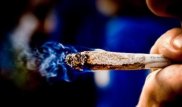 Испанияда 3,5 миллион еуроға бағаланған есірткі тәркіленді
