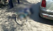 Алматыда жүк көлігі велосипедшіні басып өлтірді