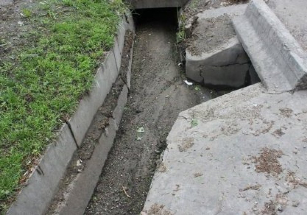 Арыққа құлап, опат болған қызға қатысты оқиғаның мән-жайы анықталды