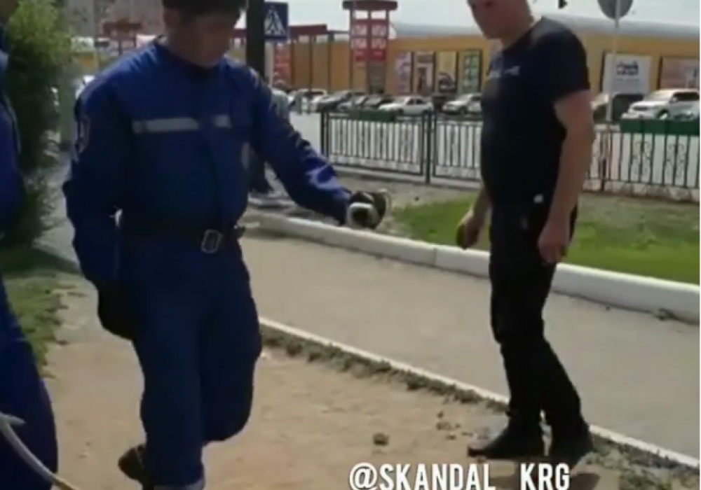 Қала орталығынан табылған жылан қарағандылықтарды шошытты